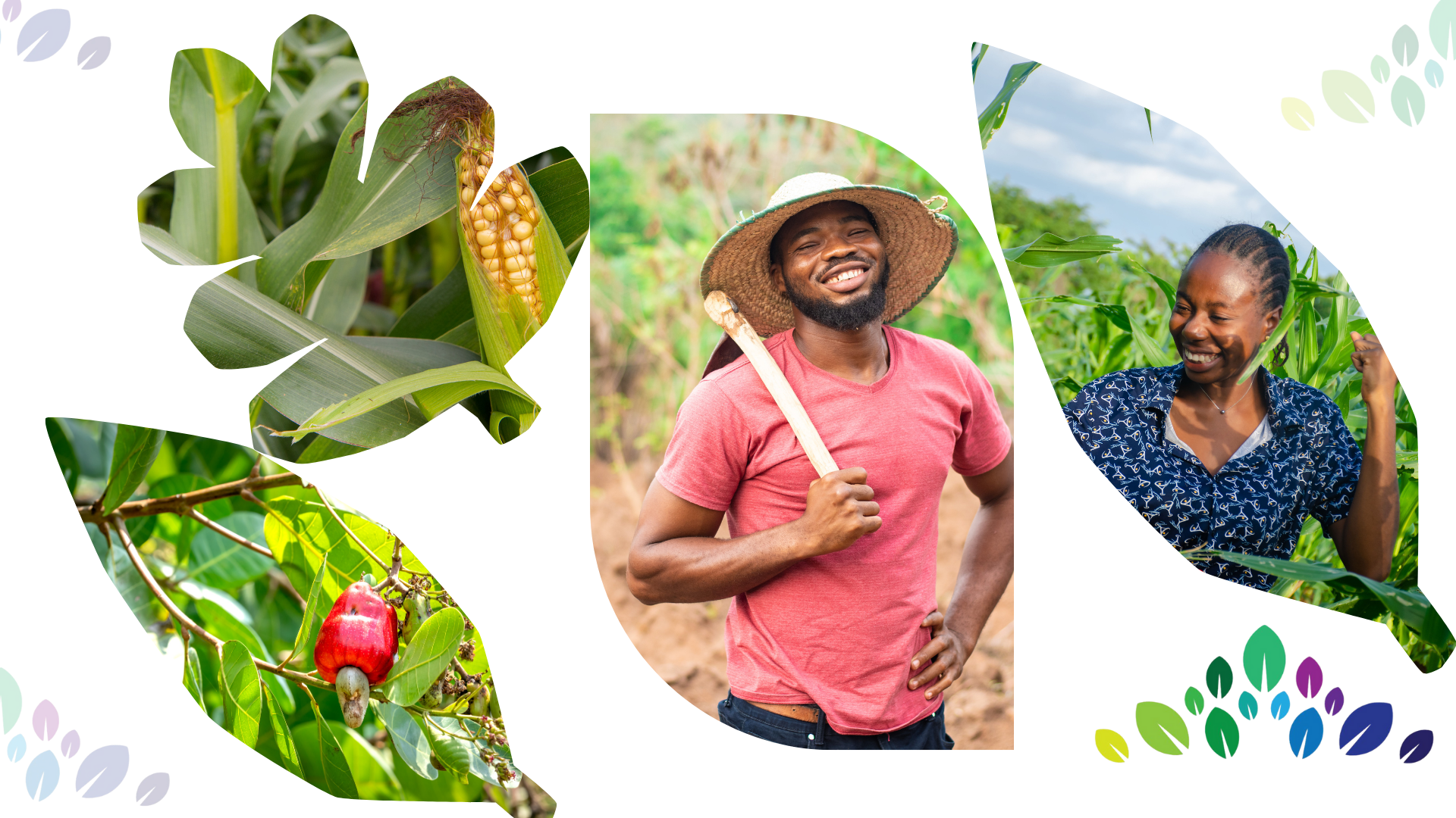 Catalyst Harvest Fund Hero