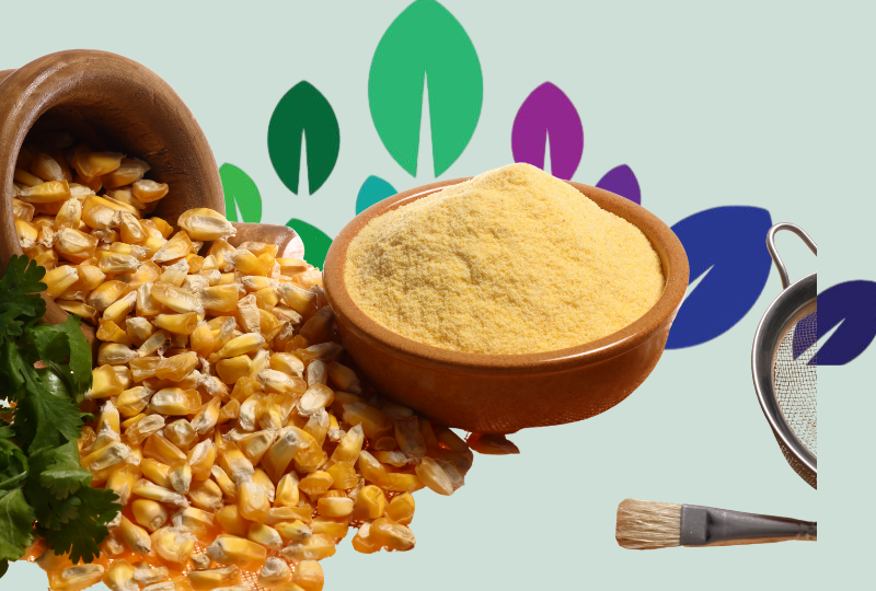 Processing & Value Addition