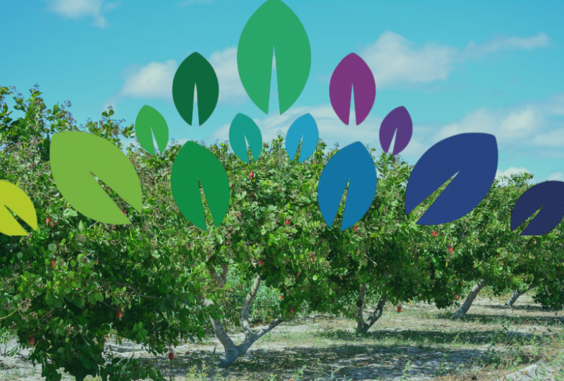 Aggregation & Logistics